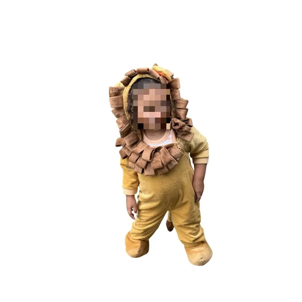 Lion Halloween Costume One Piece Zip-up With Hood Tail Size 12-24 Months